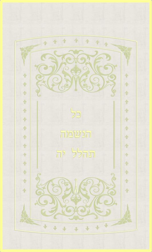 פרוכת לבנה - עיטורים עדינים